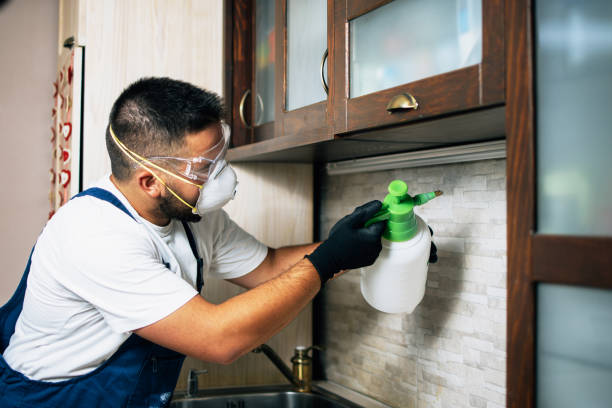 Best Residential Pest Control  in Southwest Greensburg, PA