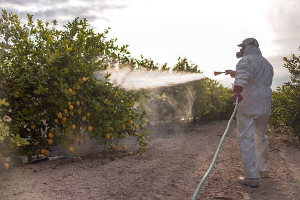 Best Residential Pest Control  in Southwest Greensburg, PA