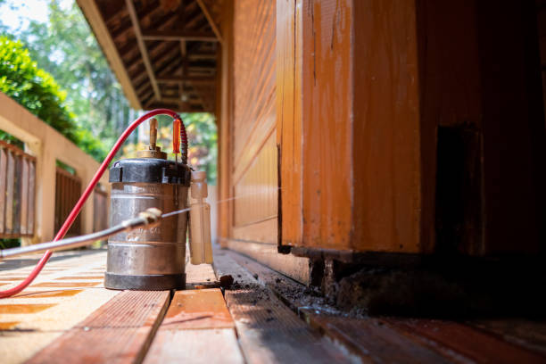 Best Affordable Pest Control Services  in Southwest Greensburg, PA