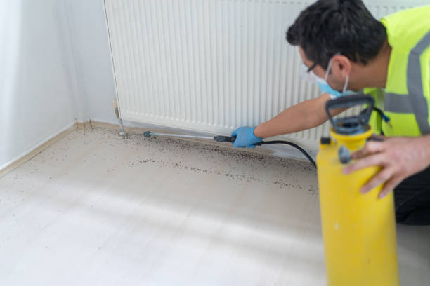 Best Mosquito Control Services  in Southwest Greensburg, PA
