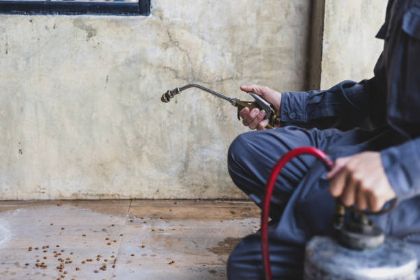 Best Pest Removal Services  in Southwest Greensburg, PA